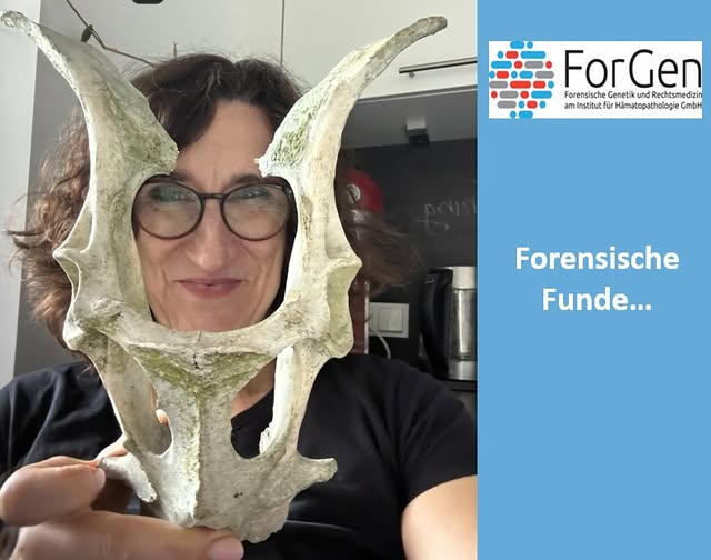 Forensiker haben nie Feierabend