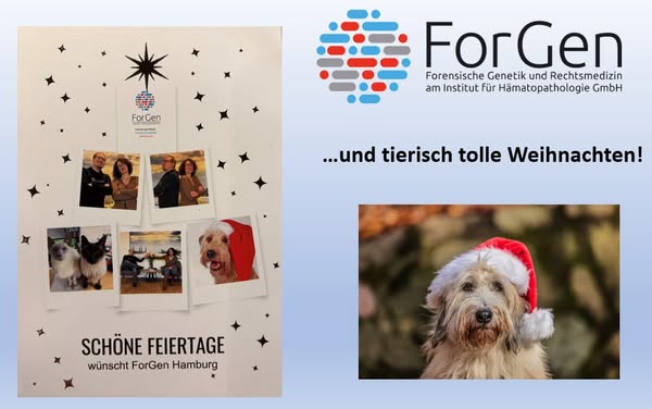 Jetzt aber schnell: Weihnachten kommt immer näher!