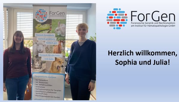 Zwei neue Bachelorprojekte bei ForGen: Willkommen Sophia und Julia
