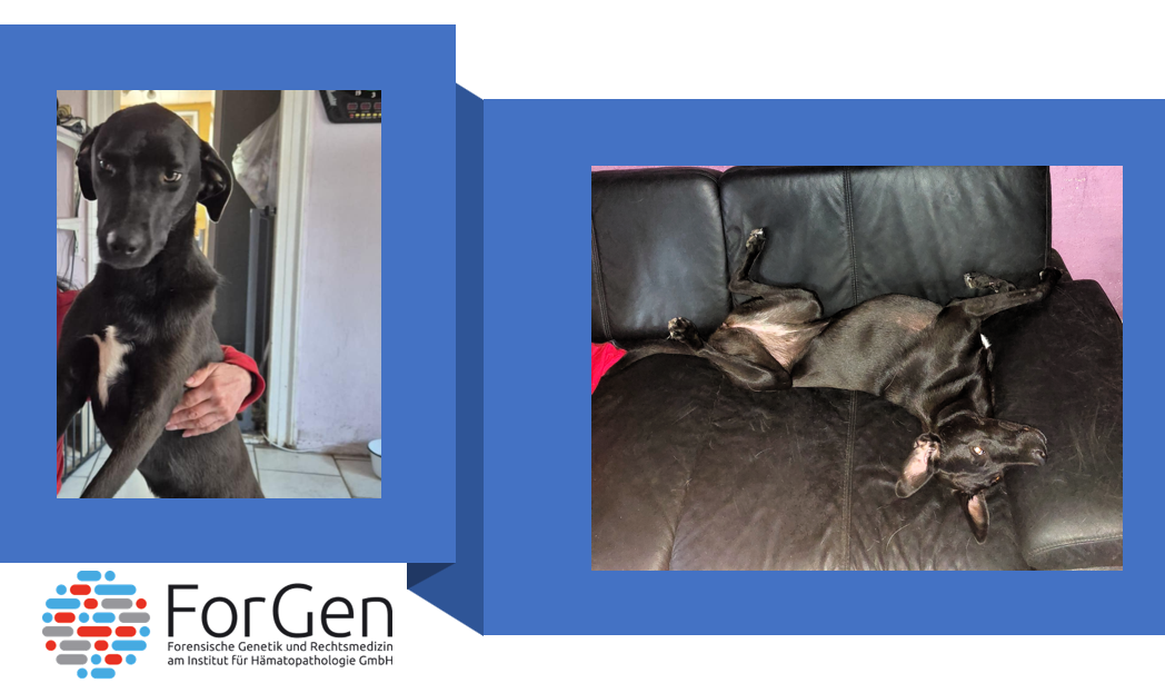 Hier kommt die zuckersüße Abby!