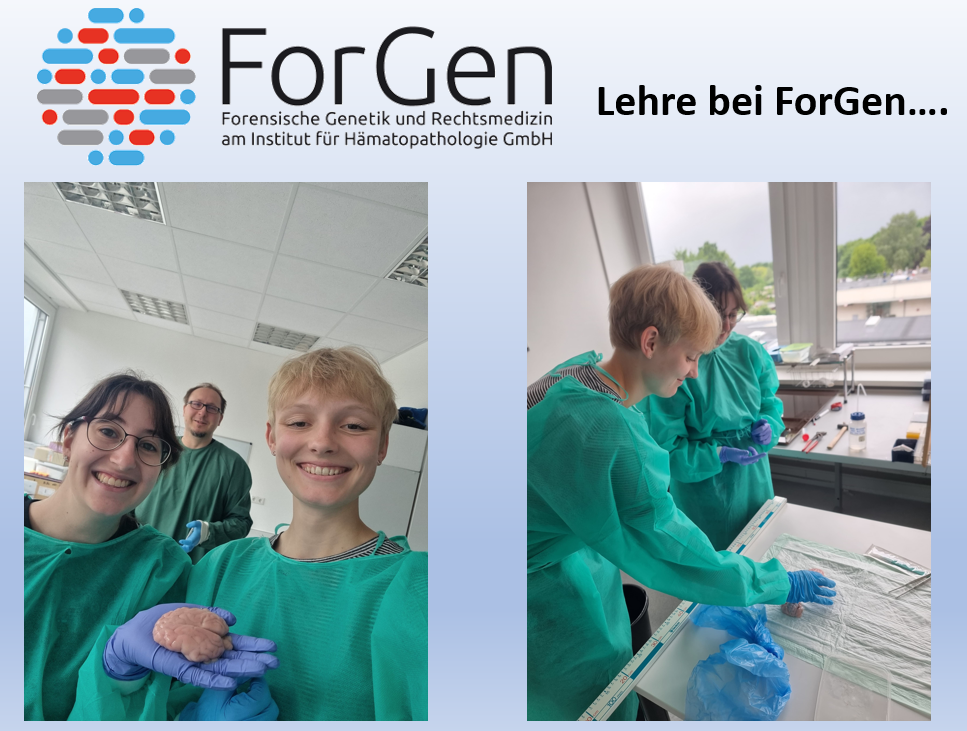 Und weiter geht es mit der Ausbildung!