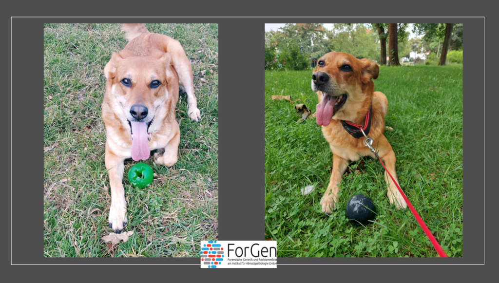 ForGen ist verliebt: Hallo Miley!