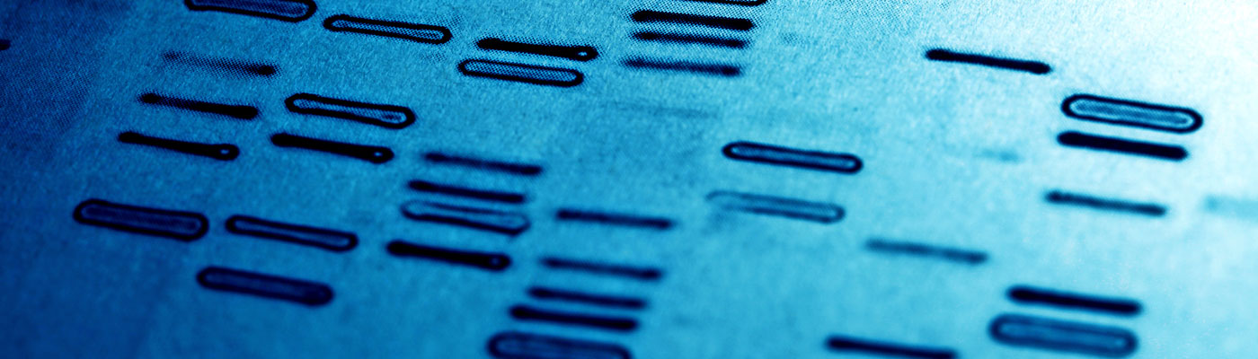 Warum Leichen Wochen unter Wasser bleiben