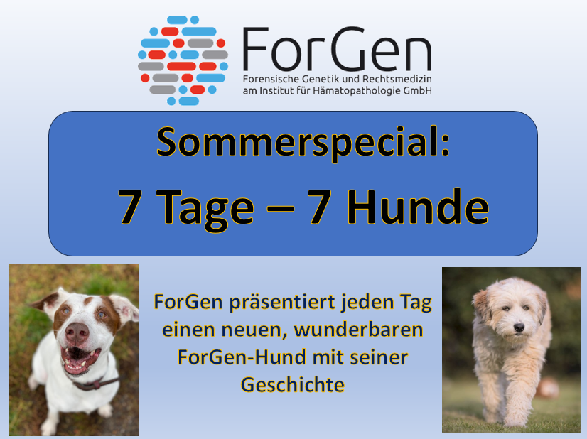 7 Tage – 7 Hunde