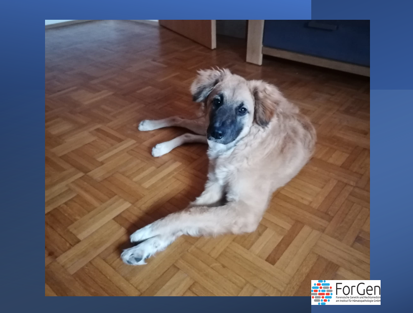 Hallo Mira! – Das kleine Wunder aus dem Pappkarton!