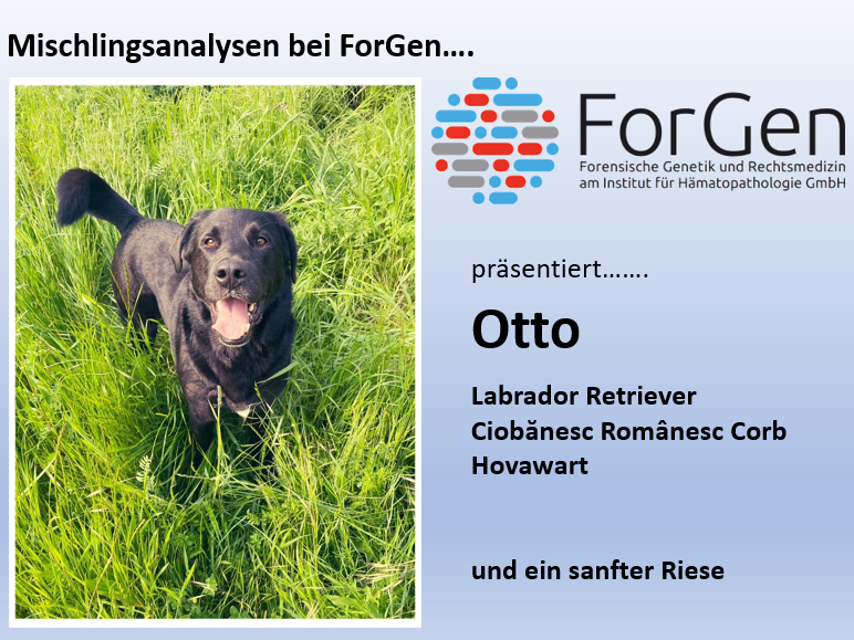 Eine gute DNA-Spur kann (fast) alles aufklären