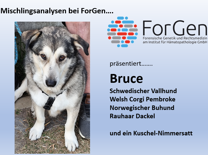 ForGen trifft Bruce!