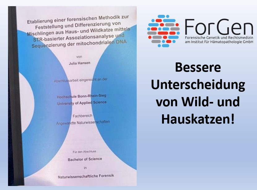 Das Deckblatt der Bachelorarbeit.