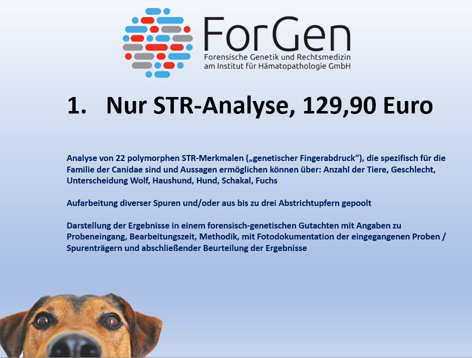 Neue Risspreise bei ForGen