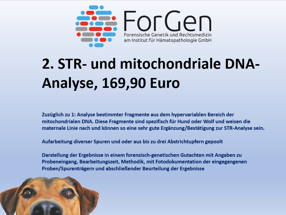 Neue Risspreise bei ForGen