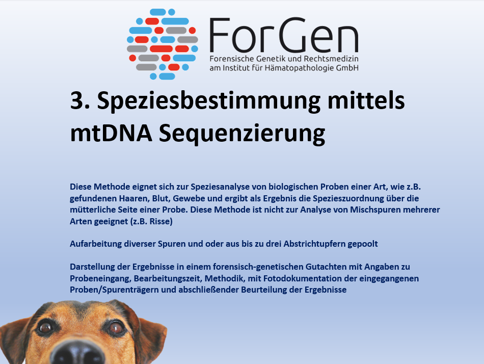 Neue Risspreise bei ForGen