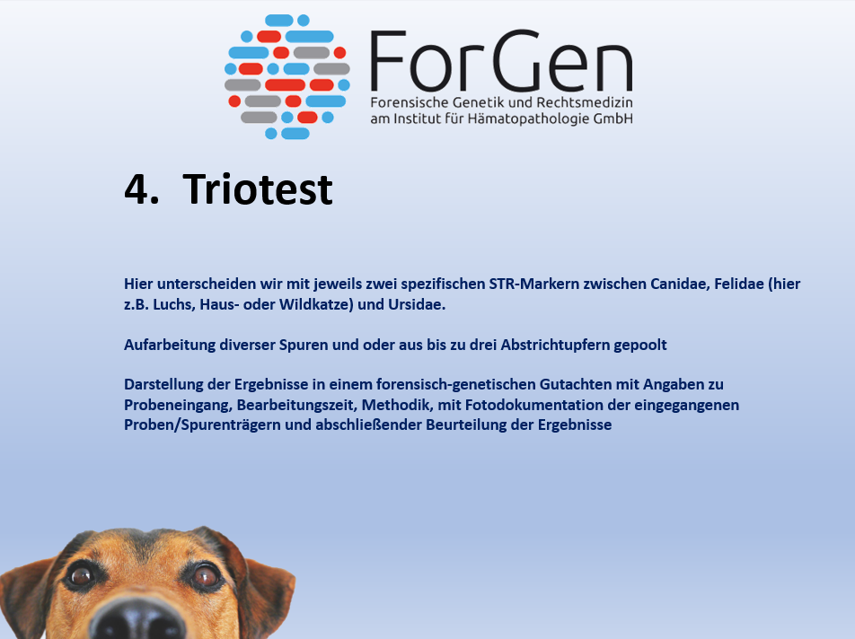 Neue Risspreise bei ForGen