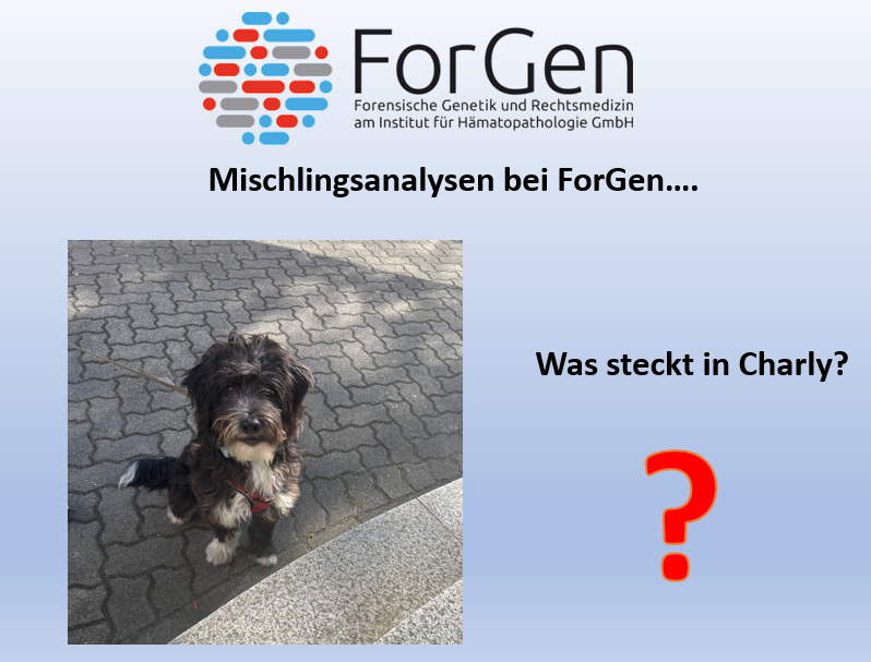 Was steckt in Charly?