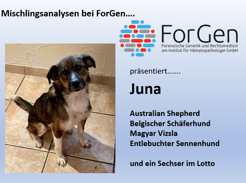 Hallo, süße Juna – oder der Sechser im Lotto!