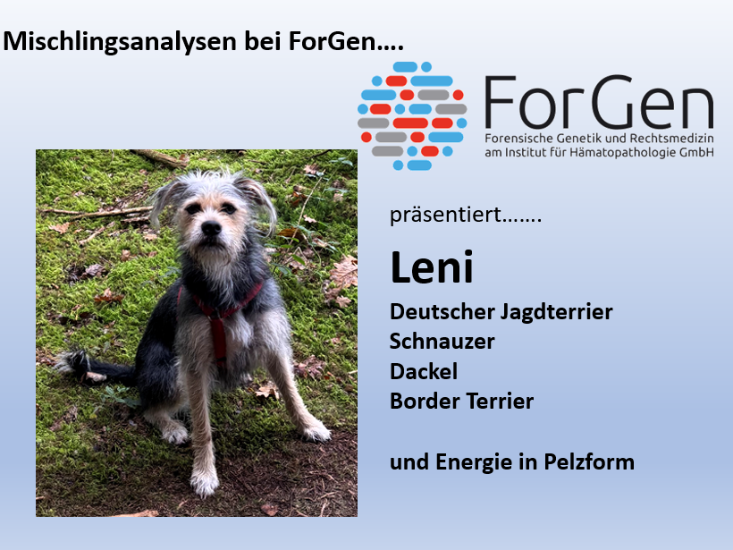 Hund Leni
