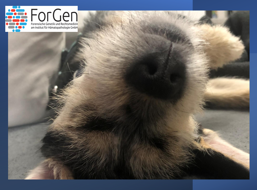 Leni – eine (weitere) Erfolgsgeschichte