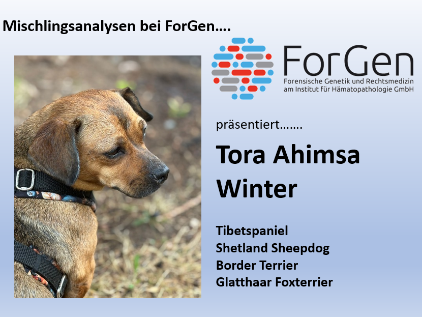 Hallo Tora: Klein aber großartig!