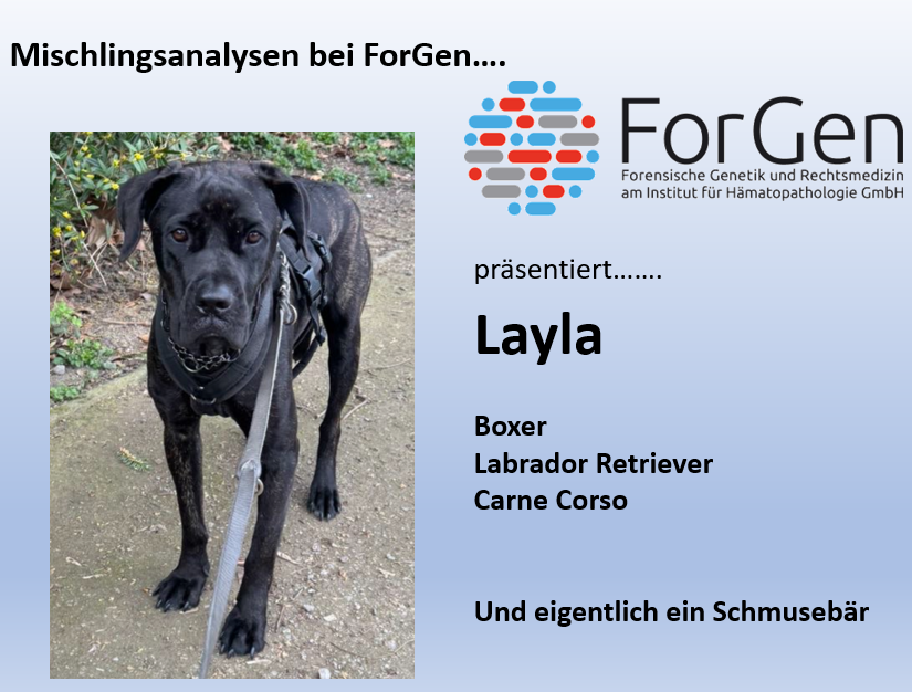 ForGen trifft Layla!