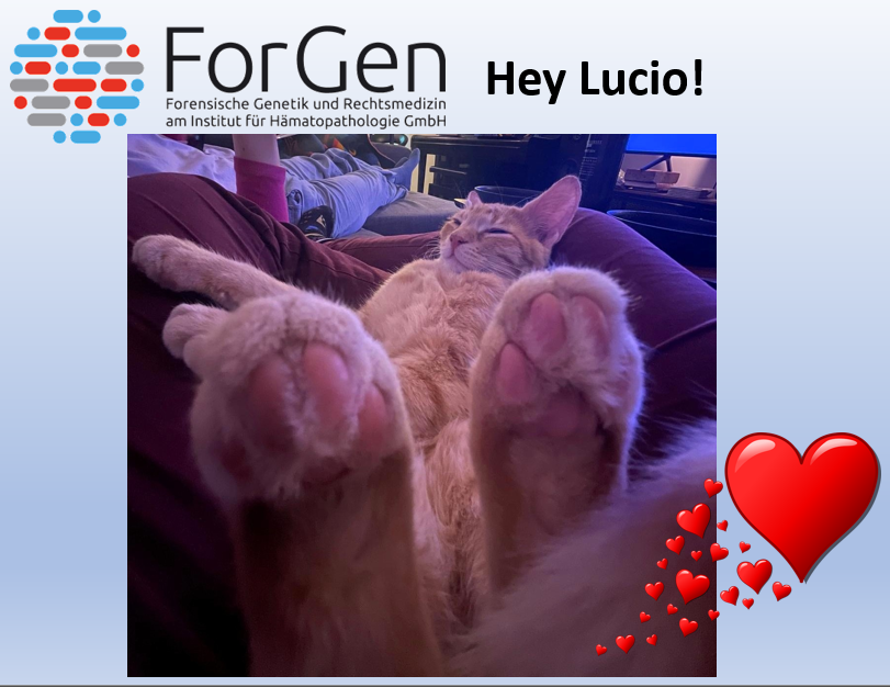 Heute was fürs Auge und die Seele: Hallo kleiner Luciu!