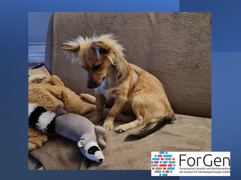 Klein, aber entzückend: Guck an, die Mila!