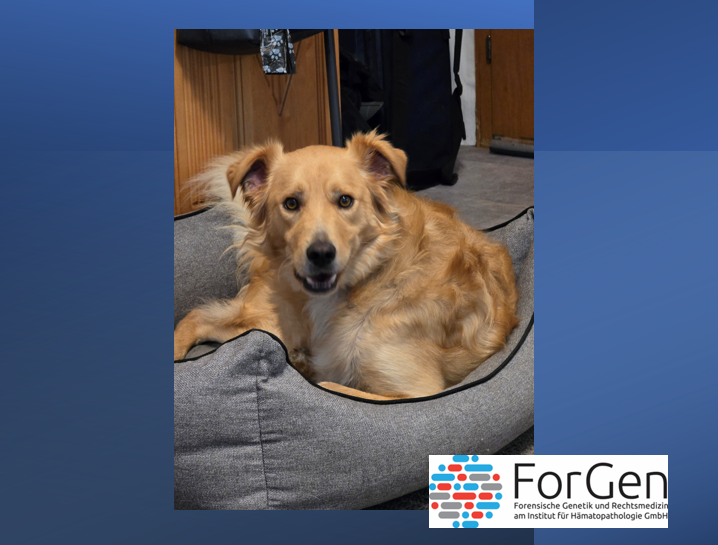 ForGen wird feurig: Hallo Pepper!