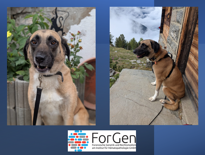 ForGen trifft die sanfte Emmi