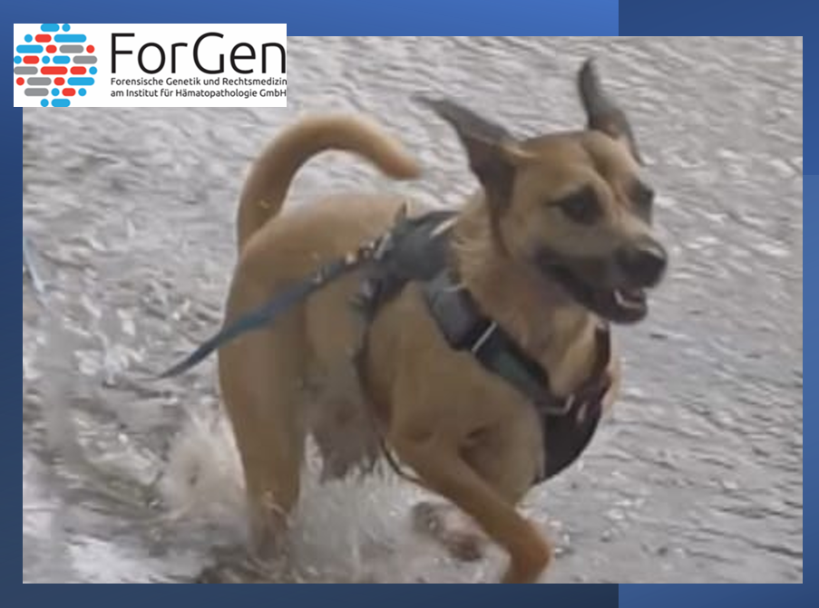 ForGen schließt das tierische Jahr mit Camille!