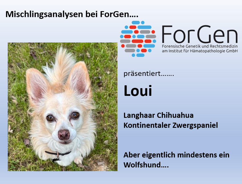 HUnd Loui