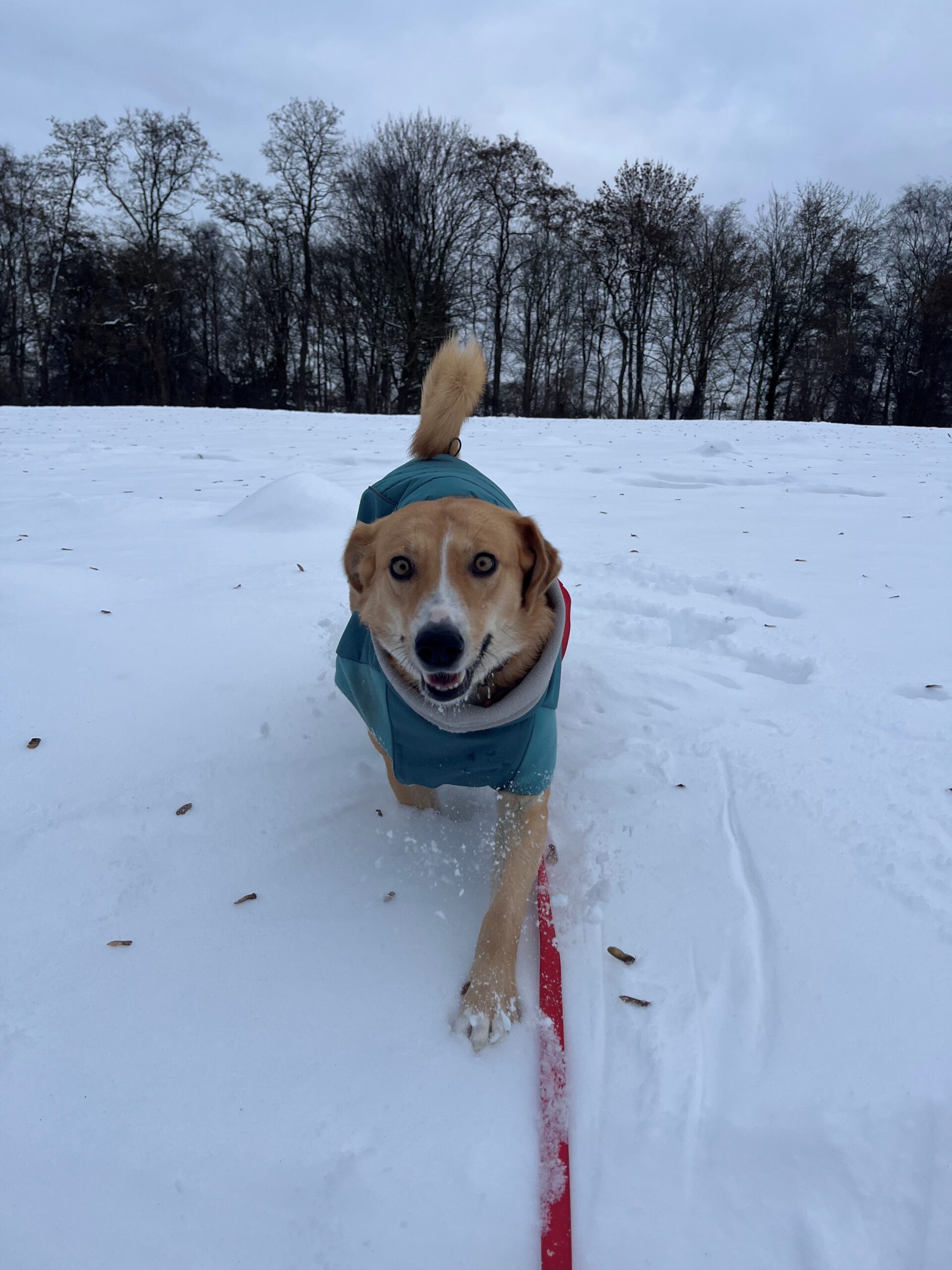 Ein ganz wunderbares Blind date: Hallo Mela!