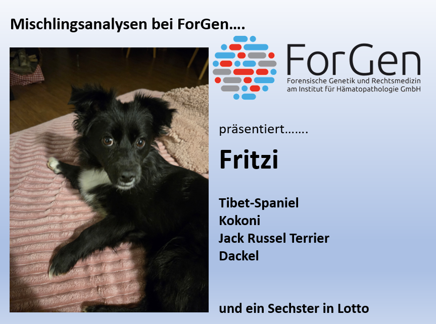 Hund Fritzi