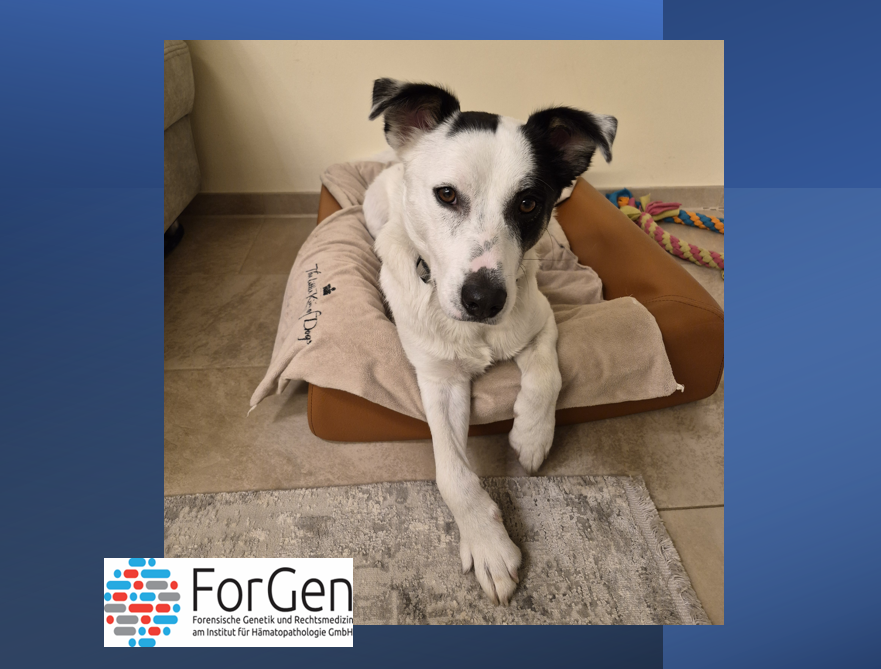 Der Name sagt alles: Willkommen Lucky!