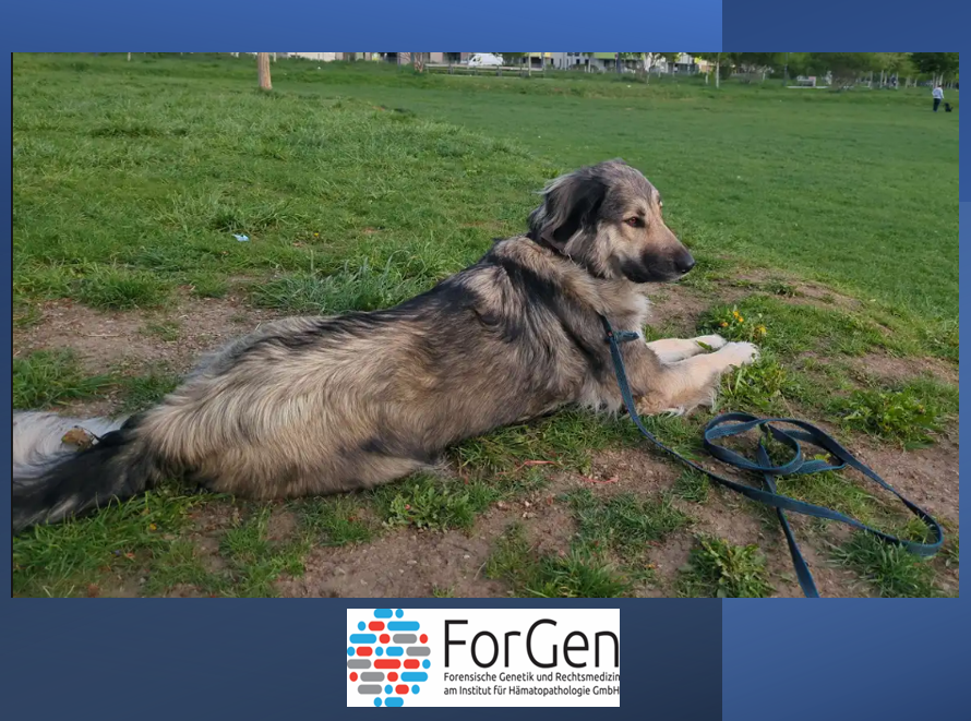 ForGen und Saoirse: Eine Herausforderung, die sich gelohnt hat.