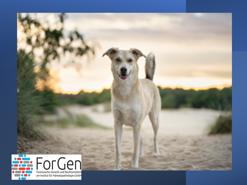 ForGen sagt „hallo“ zu Skadi!