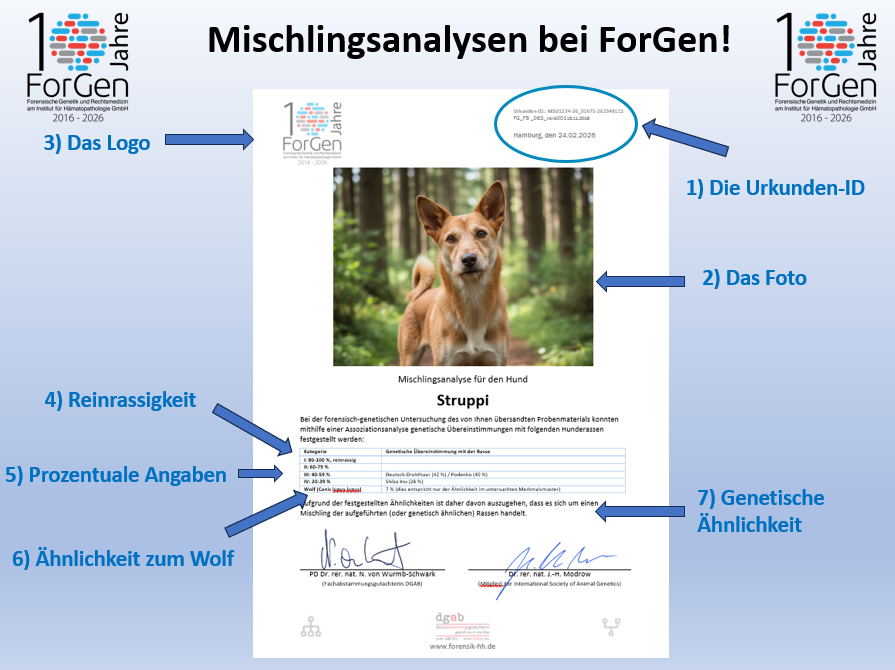 ForGen und die Mischlingsanalysen: Was zeigt die Urkunde?