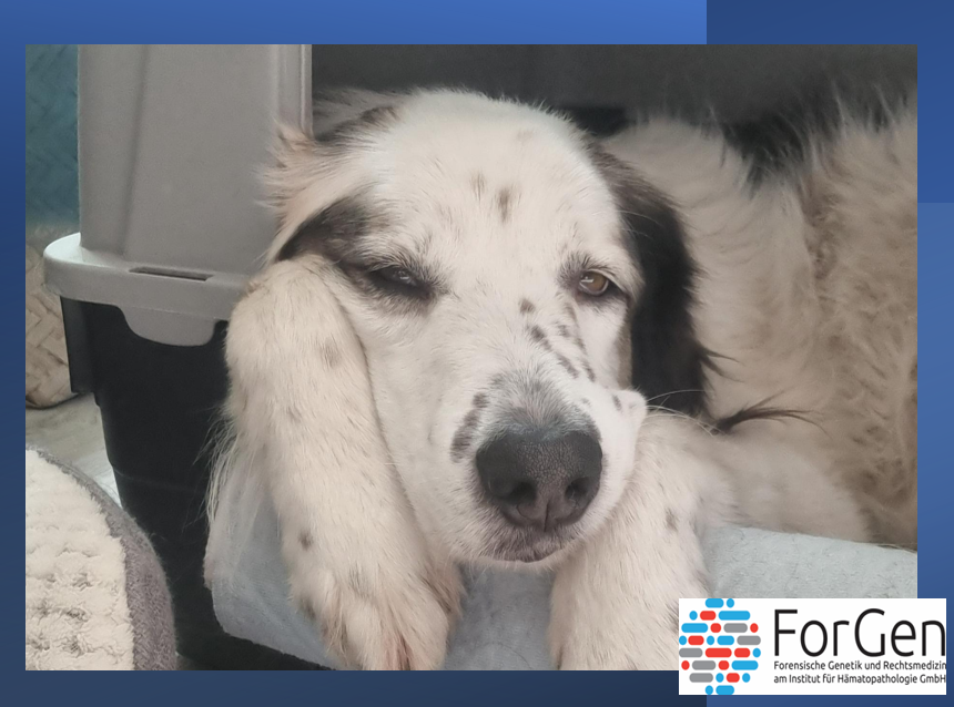 ForGen trifft auf Edgy