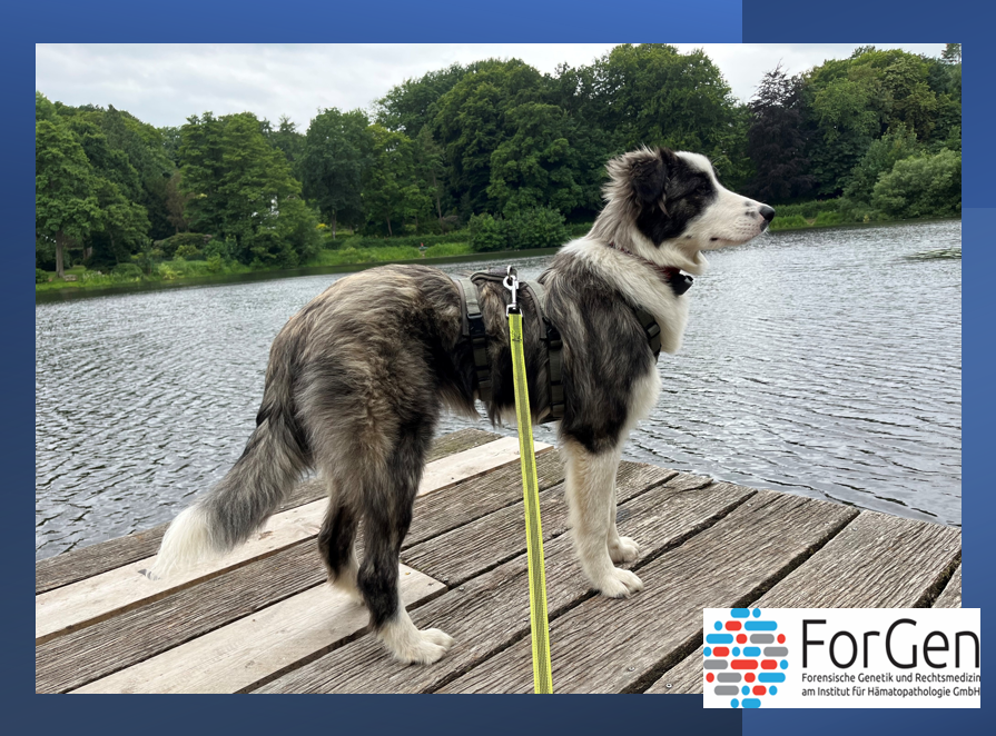 Hier kommt die zauberhafte Yuki!