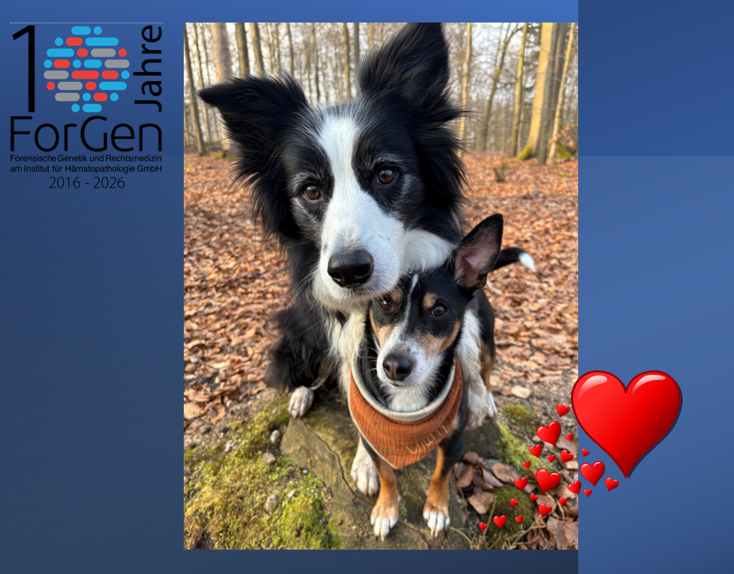 Hier kommt nachträglich ein kleiner Osterhase – natürlich nicht: Herzlich willkommen, Charly