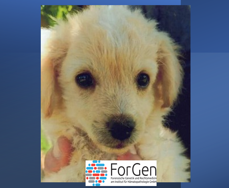 Guck mal an, der Floki!