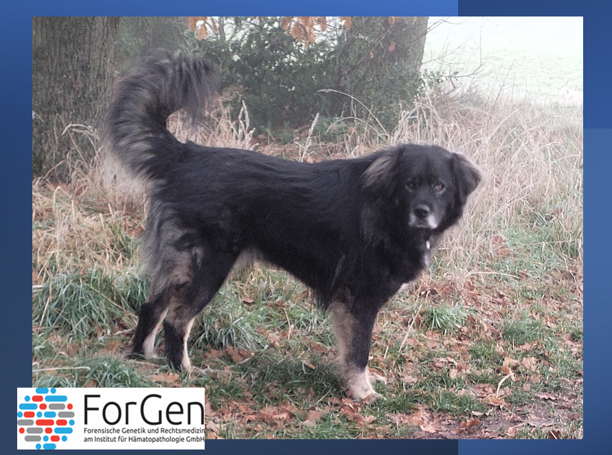 Na, aber hallo, Kayo!