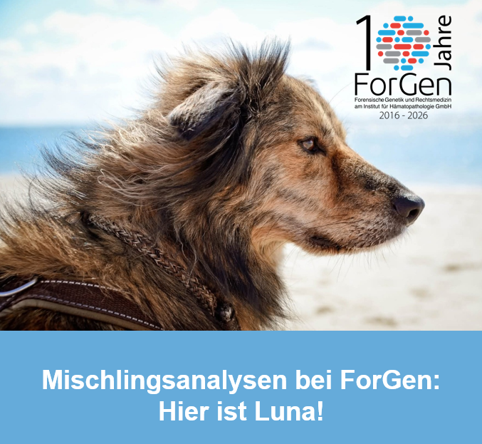 Hier kommt was fürs Auge: Luna!