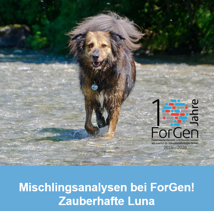 Hund Luna