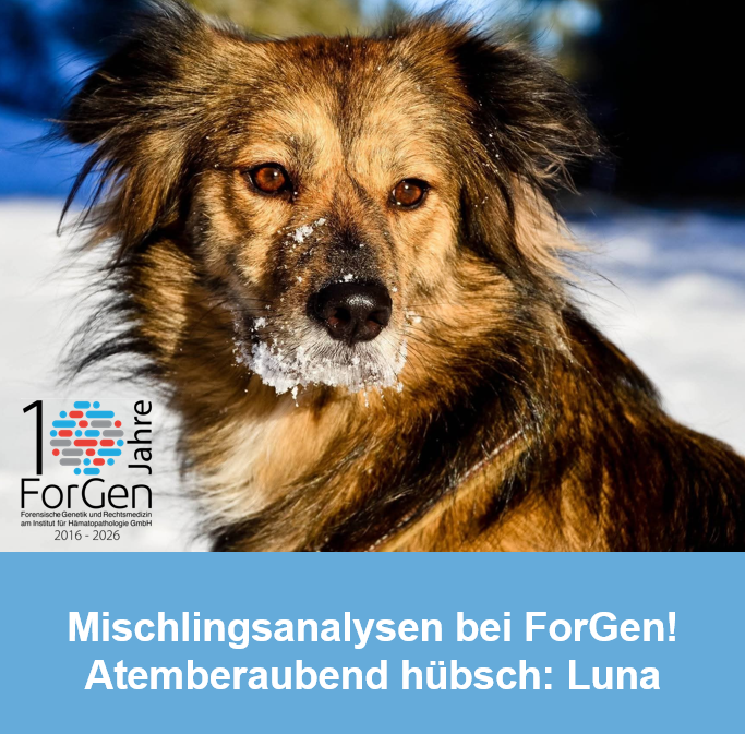 Hund Luna
