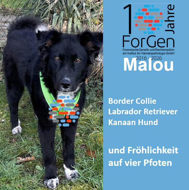 ForGen trifft „Malou-von der Straße“!