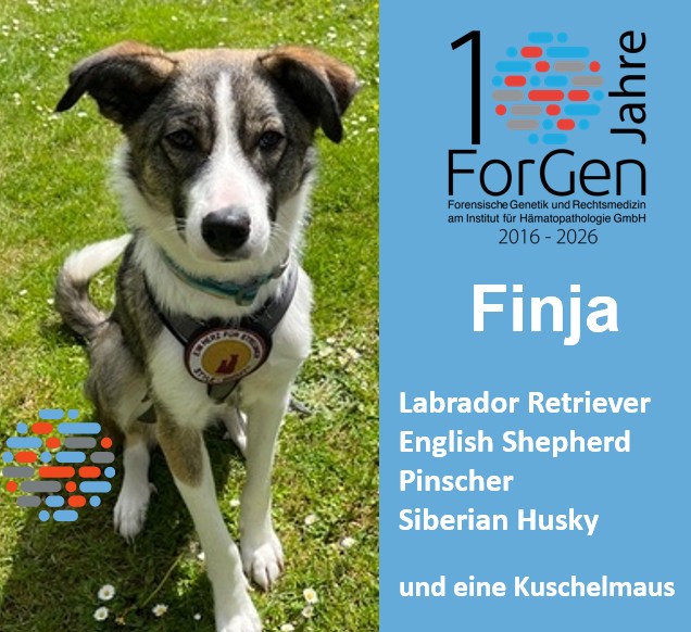Hund Finja