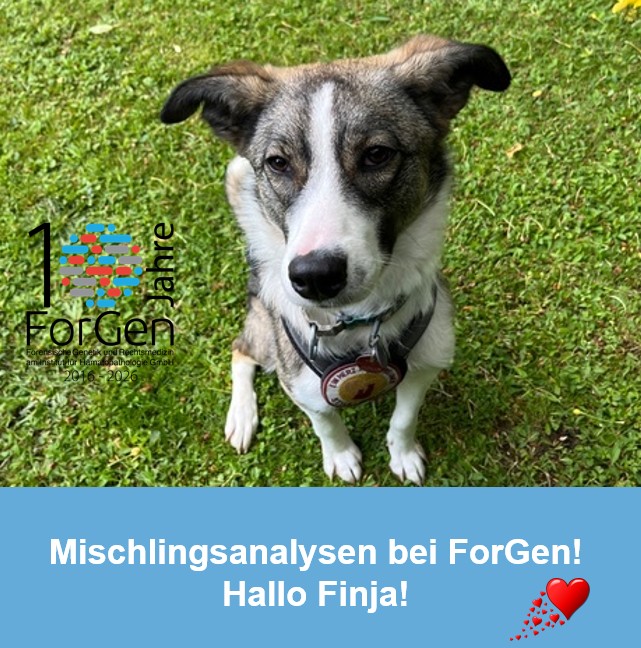 ForGen und Finja!