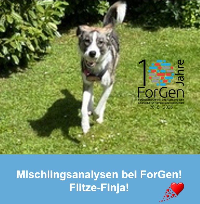 Hund Finja