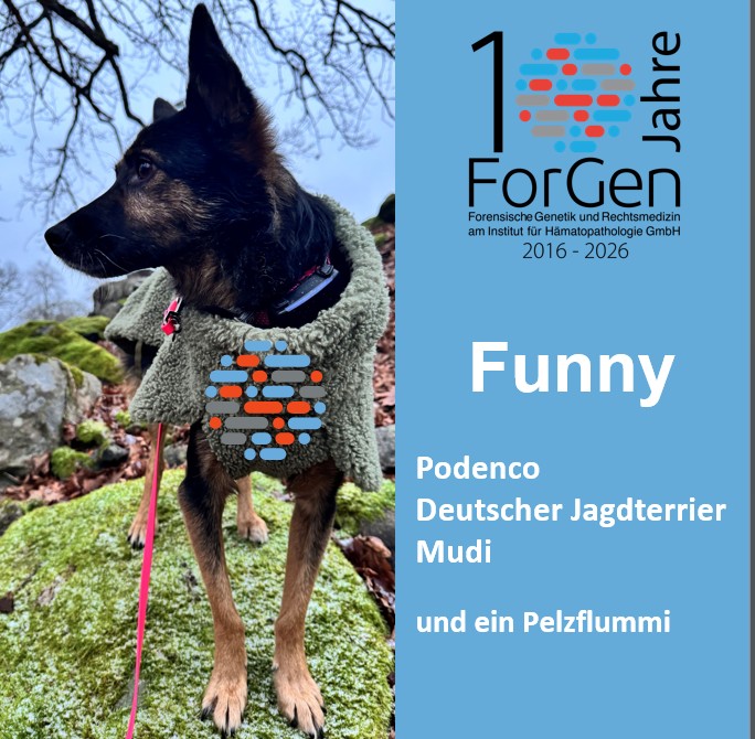 Hund Funny