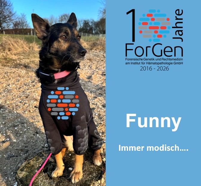 Hund Funny