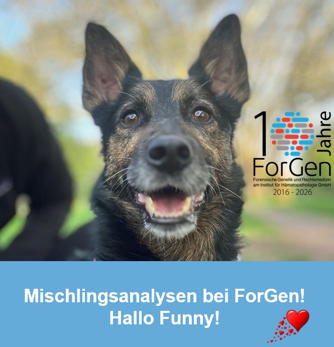 ForGen trifft Funny, den eleganten Flugterrier