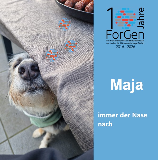 Hund Maja